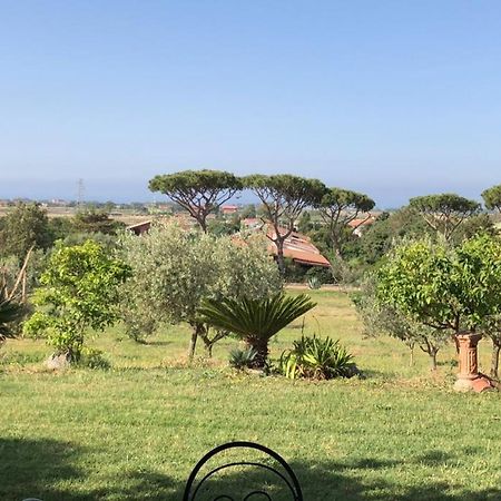 Appartamento In Villa Di Judighes Cerveteri Esterno foto