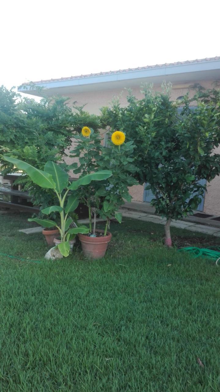 Appartamento In Villa Di Judighes Cerveteri Esterno foto